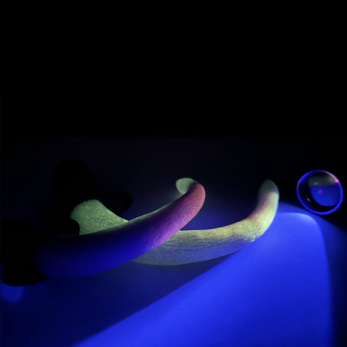 Wag - Kikuchi Toys